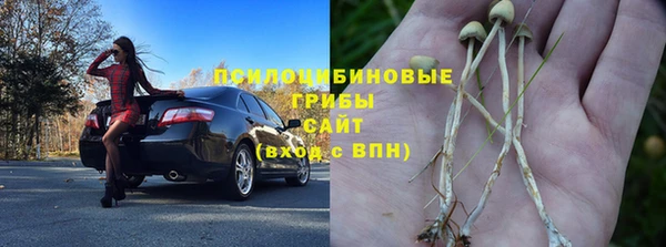 гидропоника Алексеевка