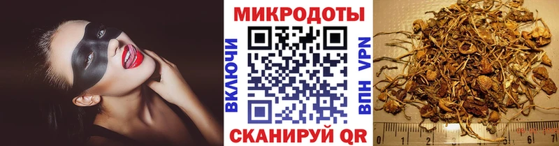 Купить  Зима  Галлюциногенные грибы мицелий 